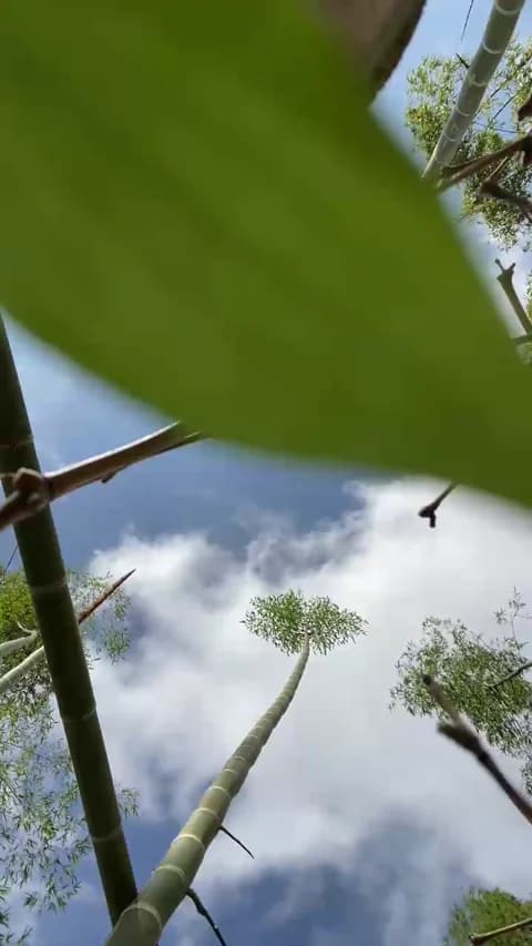 Stailers Leak #3368 - Jan 14, 2026 15:42 [41m]