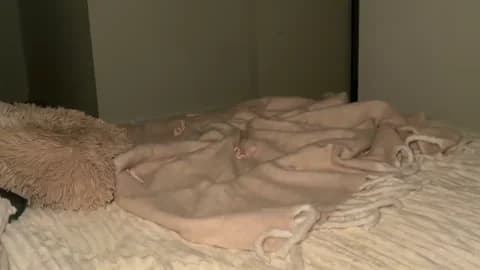 taliavaine Leak #8956 - Jan 19, 2026 20:56 [100m]